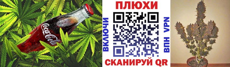 Купить закладки  Светлогорск  Еда ТГК конопля 